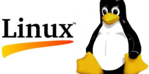 Linux